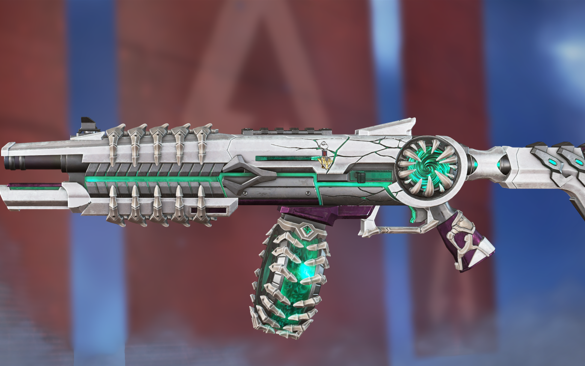 更是运动员 更是运动员