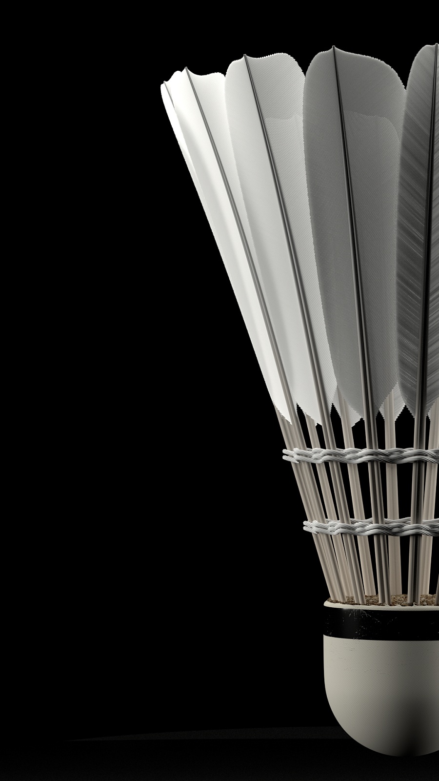 的选手尤为 的选手尤为